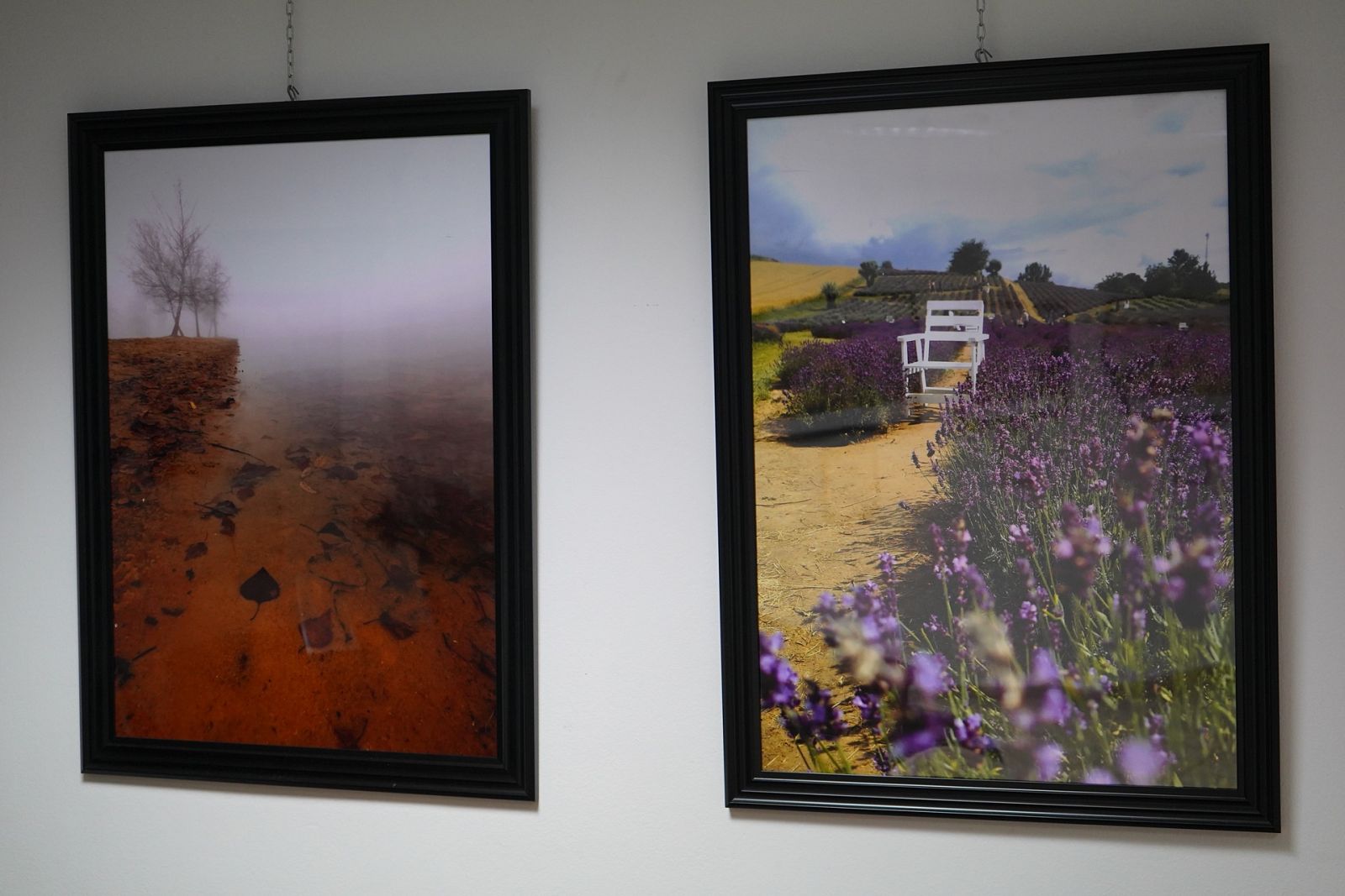 gallery_image