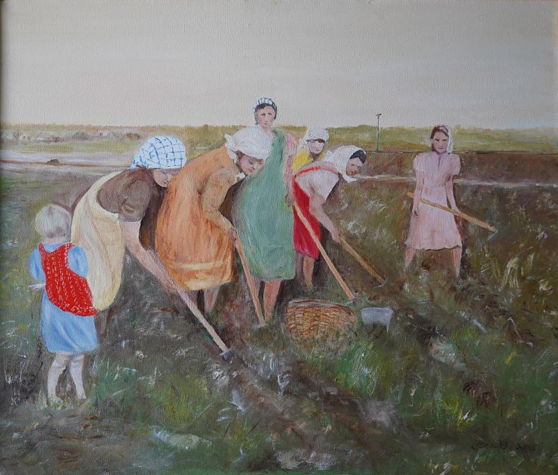 gallery_image