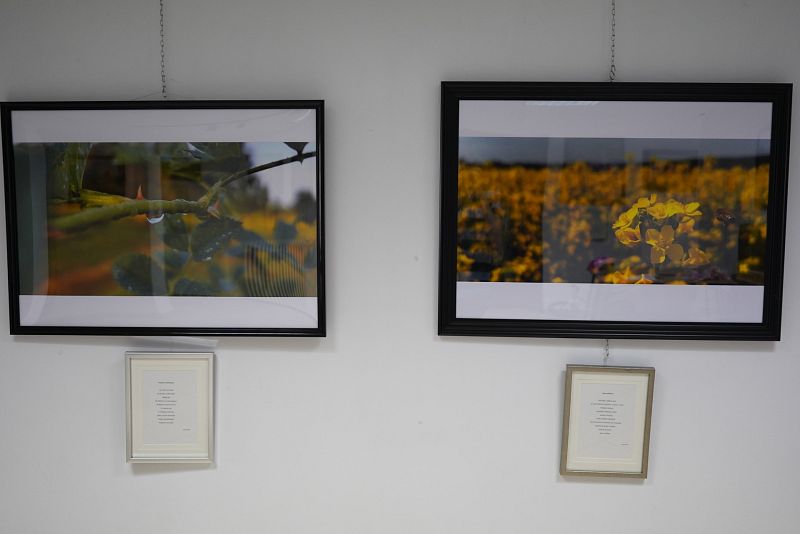 gallery_image