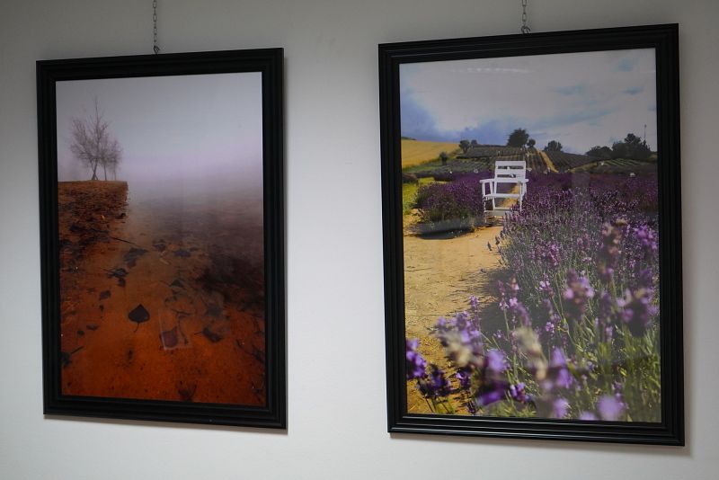 gallery_image